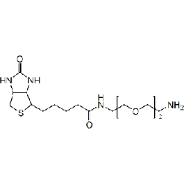 138529-46-1,生物素-PEG2-胺,C<sub>16</sub>H<sub>30</sub>N<sub>4</sub>SO<sub>4</sub>,-欧恩科化学|欧恩科生物|www.oknk.com.