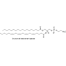 383907-31-1,L-α-phosphatidylethanolamine(Liver,Bovine),,-欧恩科化学|欧恩科生物|www.oknk.com.