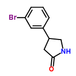 1105187-44-7,4-(3-溴苯基)-2-吡咯烷酮,C<sub>10</sub>H<sub>10</sub>BrNO,-欧恩科化学|欧恩科生物|www.oknk.com.